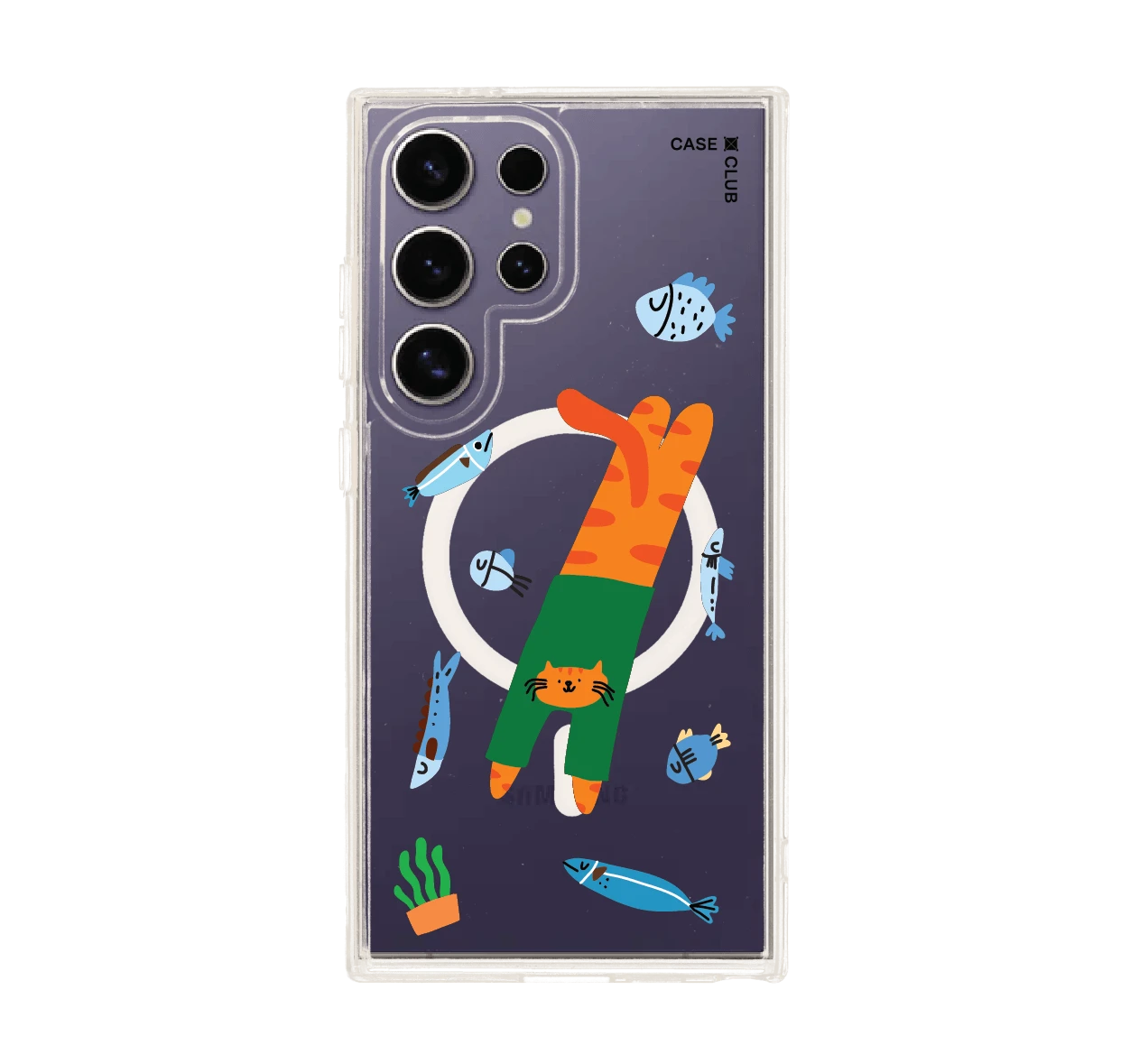 orange cat with green shirt